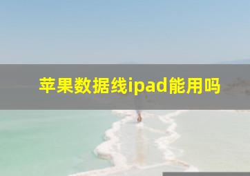 苹果数据线ipad能用吗