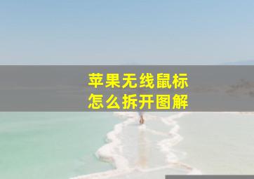 苹果无线鼠标怎么拆开图解