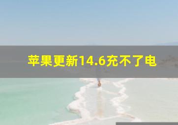 苹果更新14.6充不了电