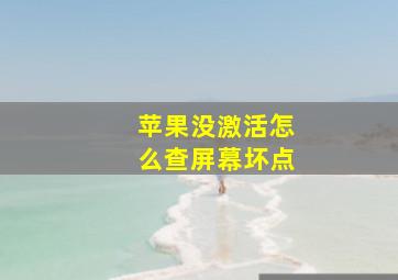 苹果没激活怎么查屏幕坏点