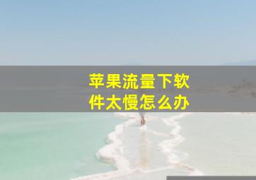 苹果流量下软件太慢怎么办