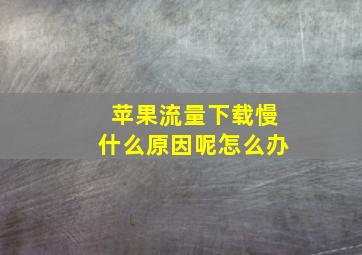 苹果流量下载慢什么原因呢怎么办