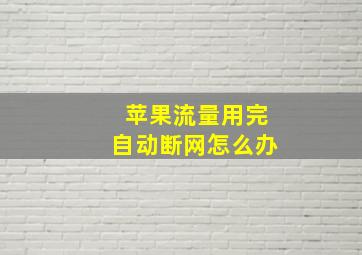 苹果流量用完自动断网怎么办