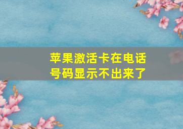 苹果激活卡在电话号码显示不出来了