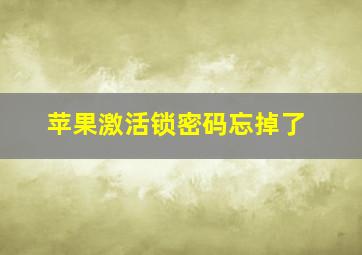 苹果激活锁密码忘掉了