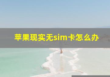 苹果现实无sim卡怎么办