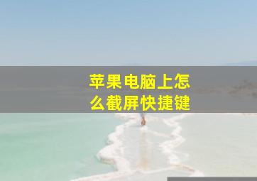 苹果电脑上怎么截屏快捷键