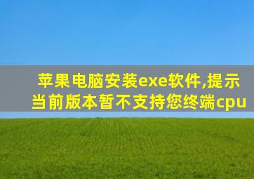 苹果电脑安装exe软件,提示当前版本暂不支持您终端cpu