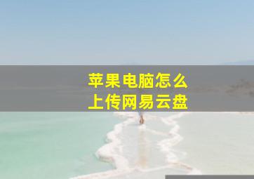 苹果电脑怎么上传网易云盘