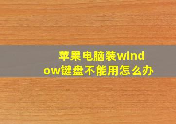 苹果电脑装window键盘不能用怎么办