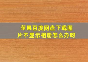 苹果百度网盘下载图片不显示相册怎么办呀