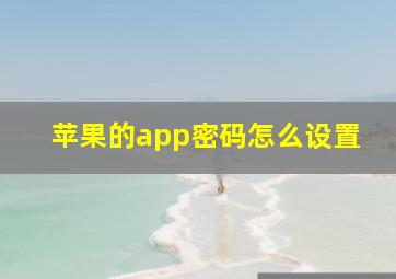 苹果的app密码怎么设置