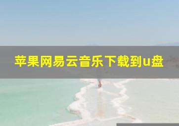 苹果网易云音乐下载到u盘