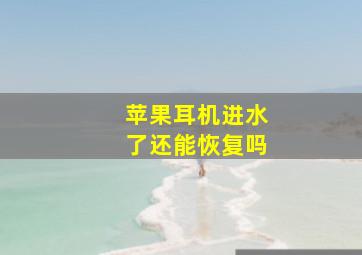 苹果耳机进水了还能恢复吗