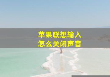 苹果联想输入怎么关闭声音