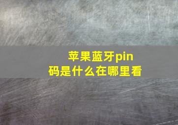 苹果蓝牙pin码是什么在哪里看