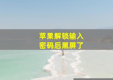 苹果解锁输入密码后黑屏了