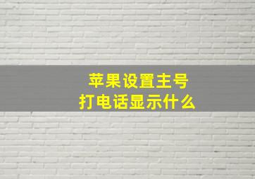 苹果设置主号打电话显示什么