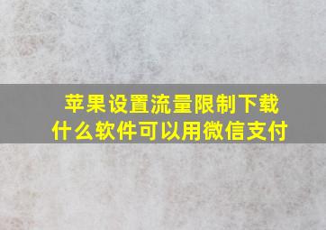 苹果设置流量限制下载什么软件可以用微信支付