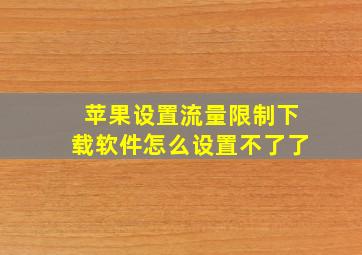 苹果设置流量限制下载软件怎么设置不了了