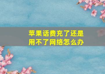 苹果话费充了还是用不了网络怎么办