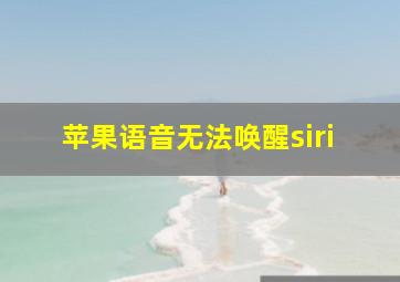 苹果语音无法唤醒siri