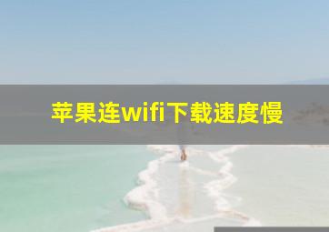 苹果连wifi下载速度慢