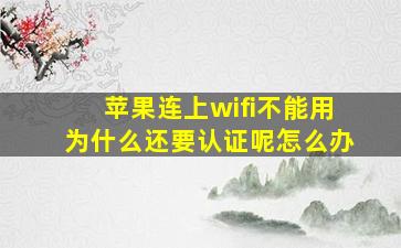 苹果连上wifi不能用为什么还要认证呢怎么办