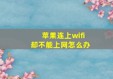 苹果连上wifi却不能上网怎么办