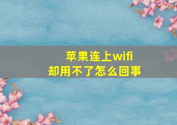 苹果连上wifi却用不了怎么回事