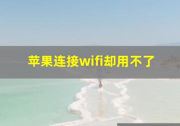 苹果连接wifi却用不了