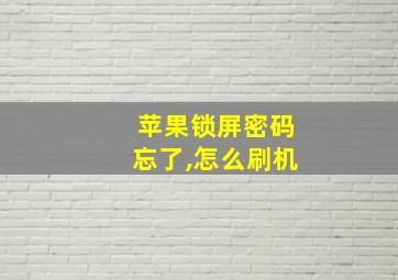 苹果锁屏密码忘了,怎么刷机