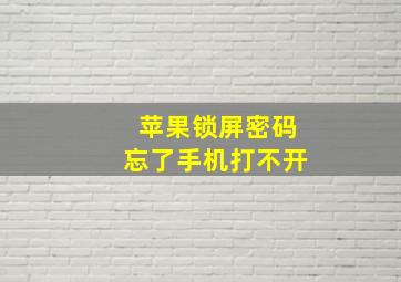 苹果锁屏密码忘了手机打不开