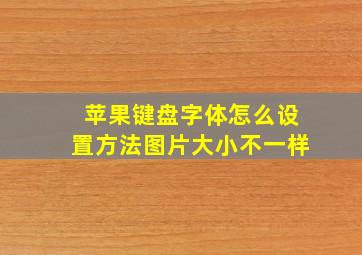 苹果键盘字体怎么设置方法图片大小不一样