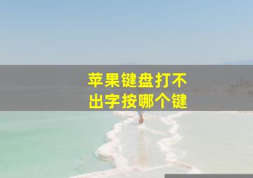 苹果键盘打不出字按哪个键