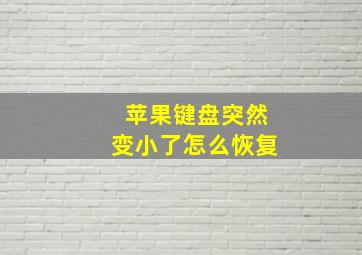 苹果键盘突然变小了怎么恢复