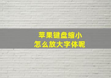 苹果键盘缩小怎么放大字体呢