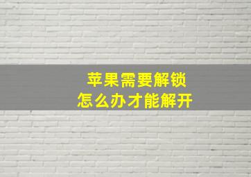 苹果需要解锁怎么办才能解开