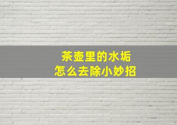 茶壶里的水垢怎么去除小妙招