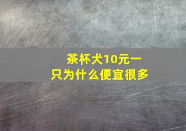 茶杯犬10元一只为什么便宜很多