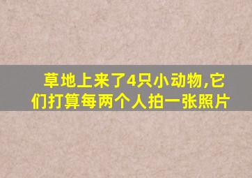 草地上来了4只小动物,它们打算每两个人拍一张照片