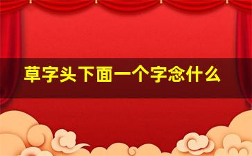 草字头下面一个字念什么