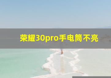 荣耀30pro手电筒不亮