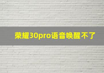 荣耀30pro语音唤醒不了