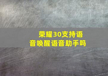 荣耀30支持语音唤醒语音助手吗