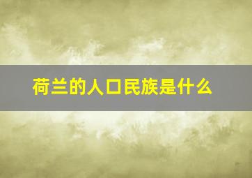 荷兰的人口民族是什么