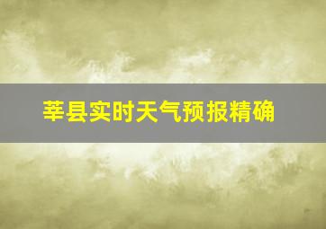 莘县实时天气预报精确