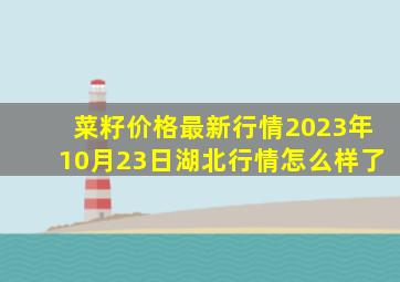 菜籽价格最新行情2023年10月23日湖北行情怎么样了