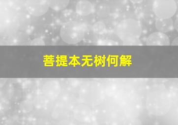 菩提本无树何解