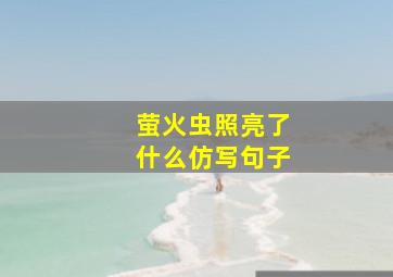 萤火虫照亮了什么仿写句子